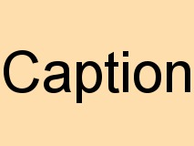 Caption example