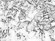Charcol example