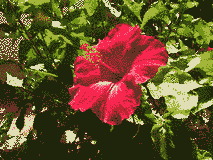 Colors example