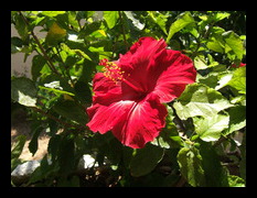 Mattecolor example